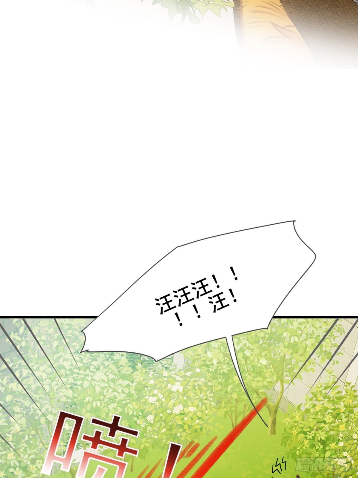 失忆的狐狸43