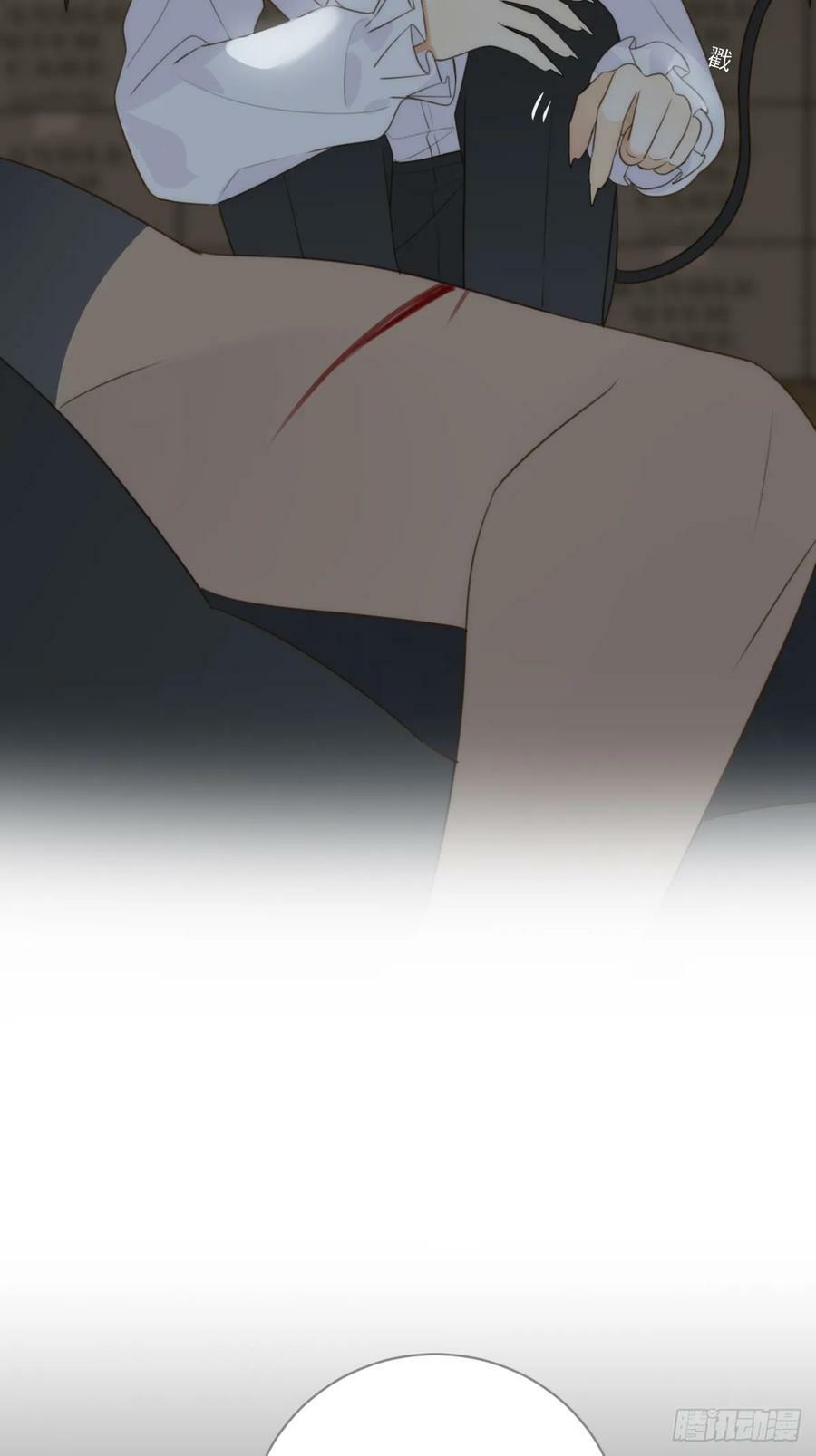 失败的狼31