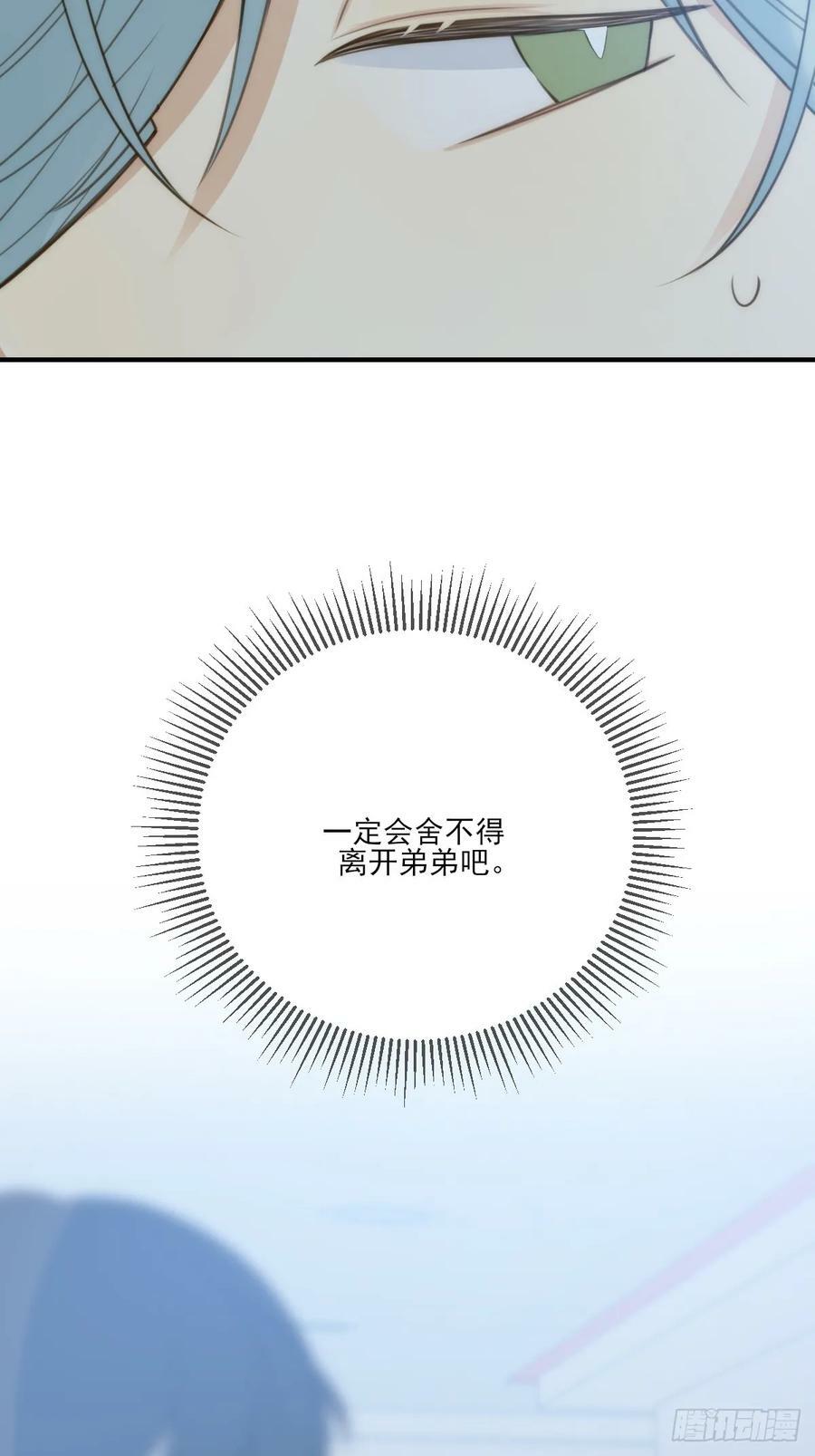 夜行性动物？4