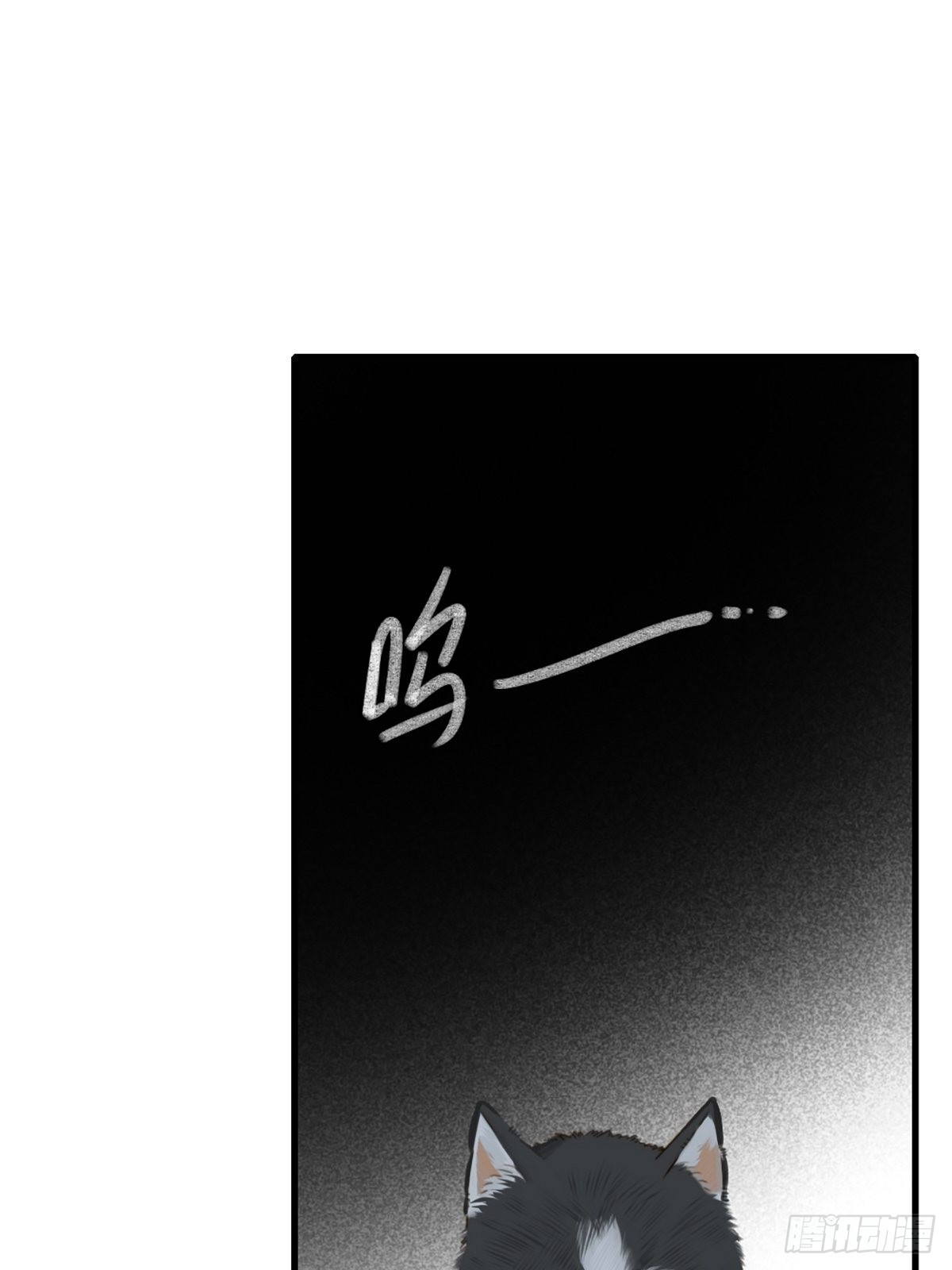 失忆的狐狸53