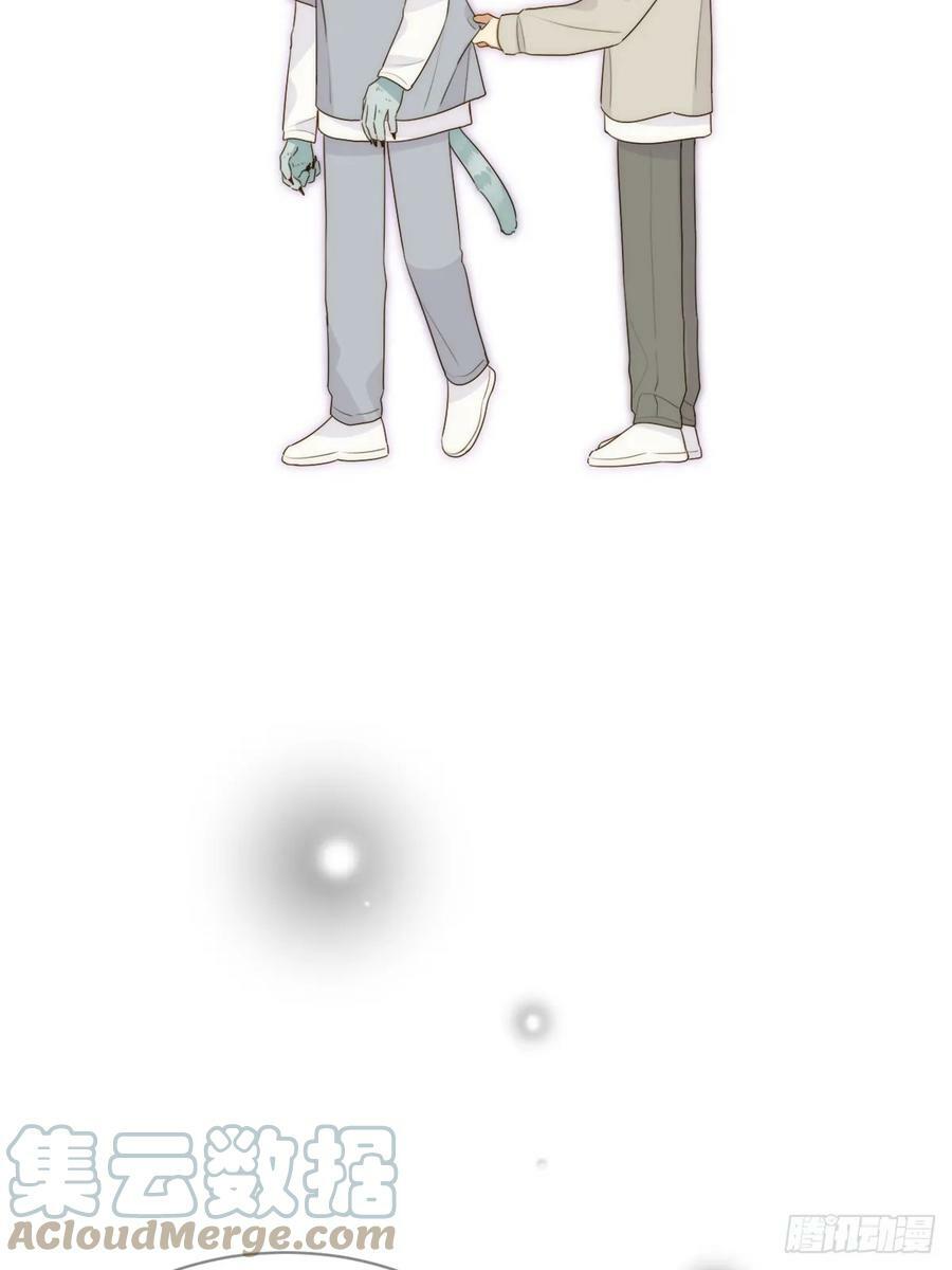失败的狼21