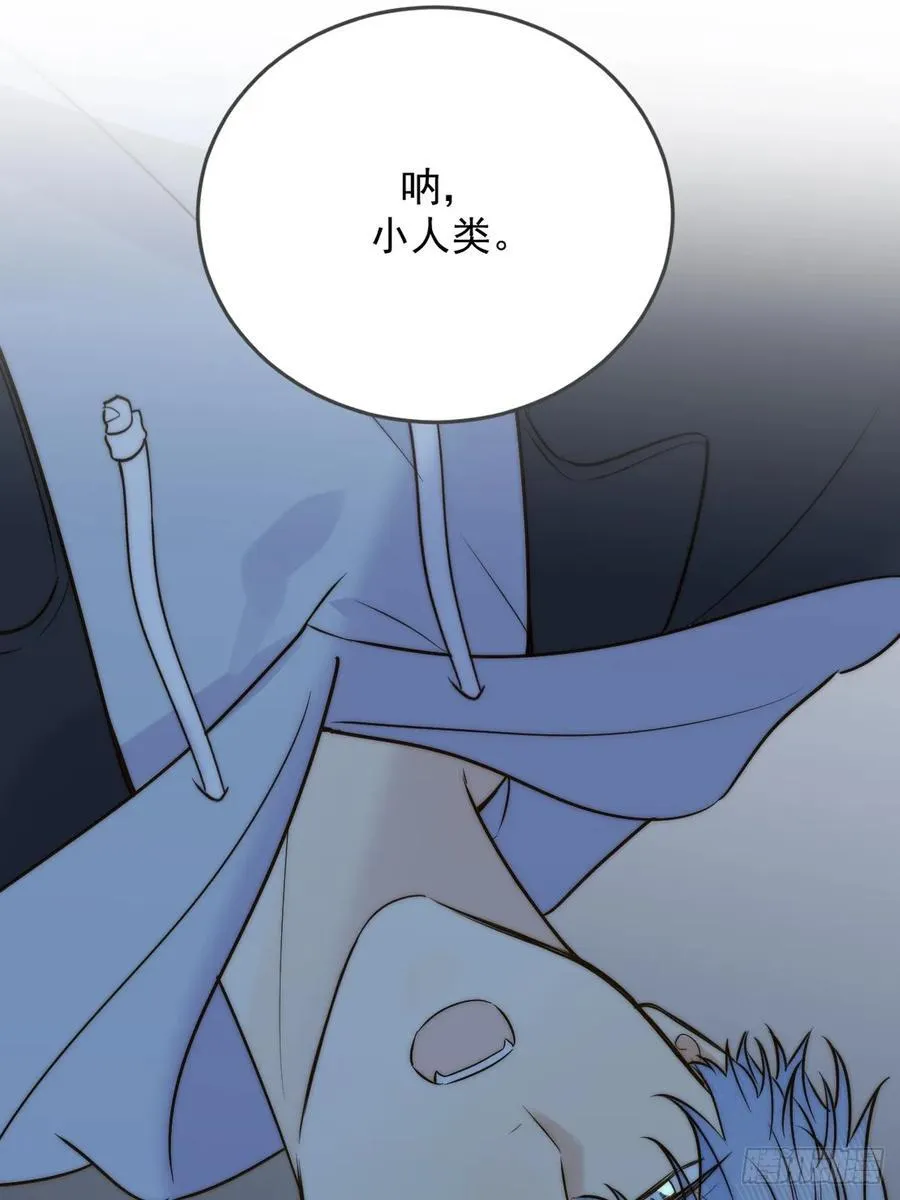 夜间啤酒49