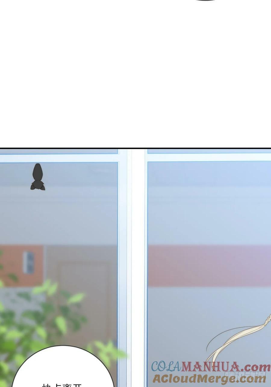 夜行性动物？48