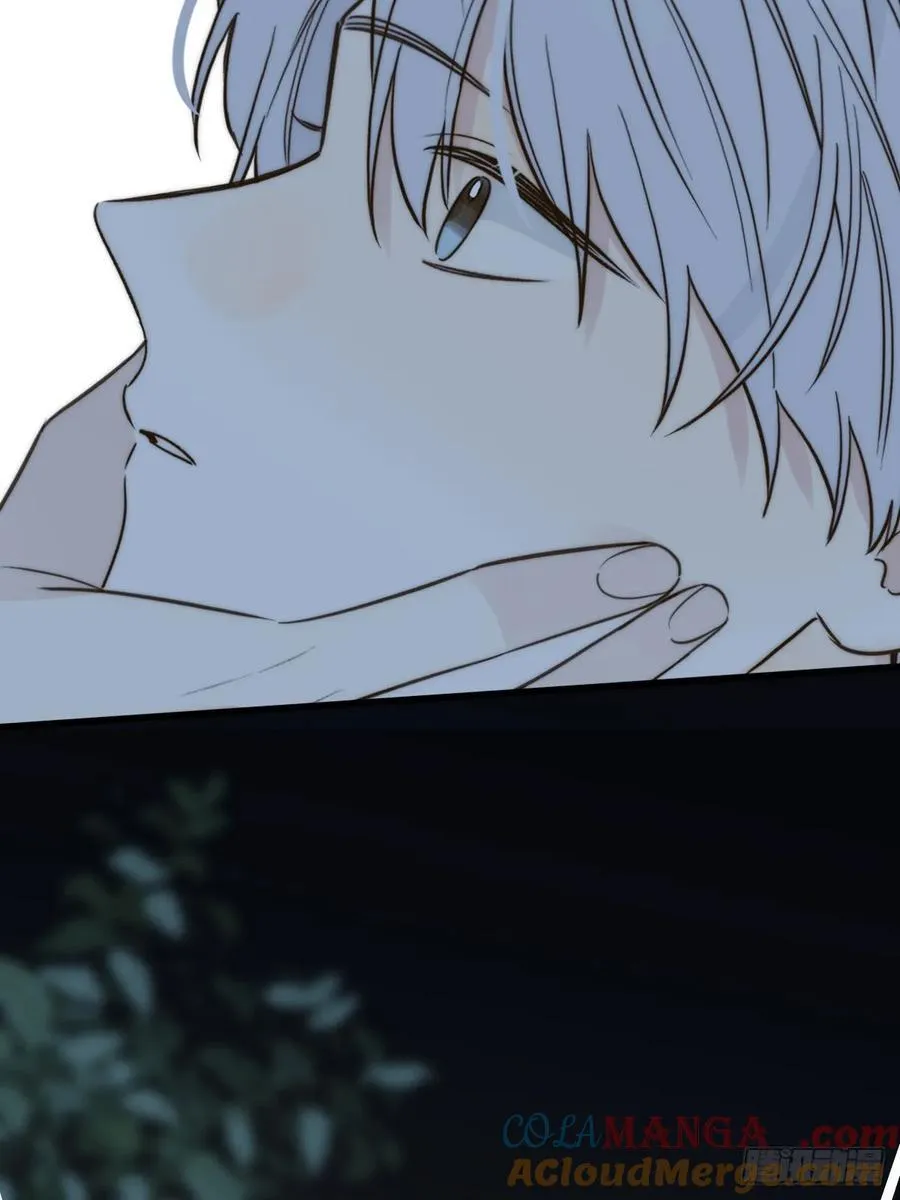 夜间啤酒54