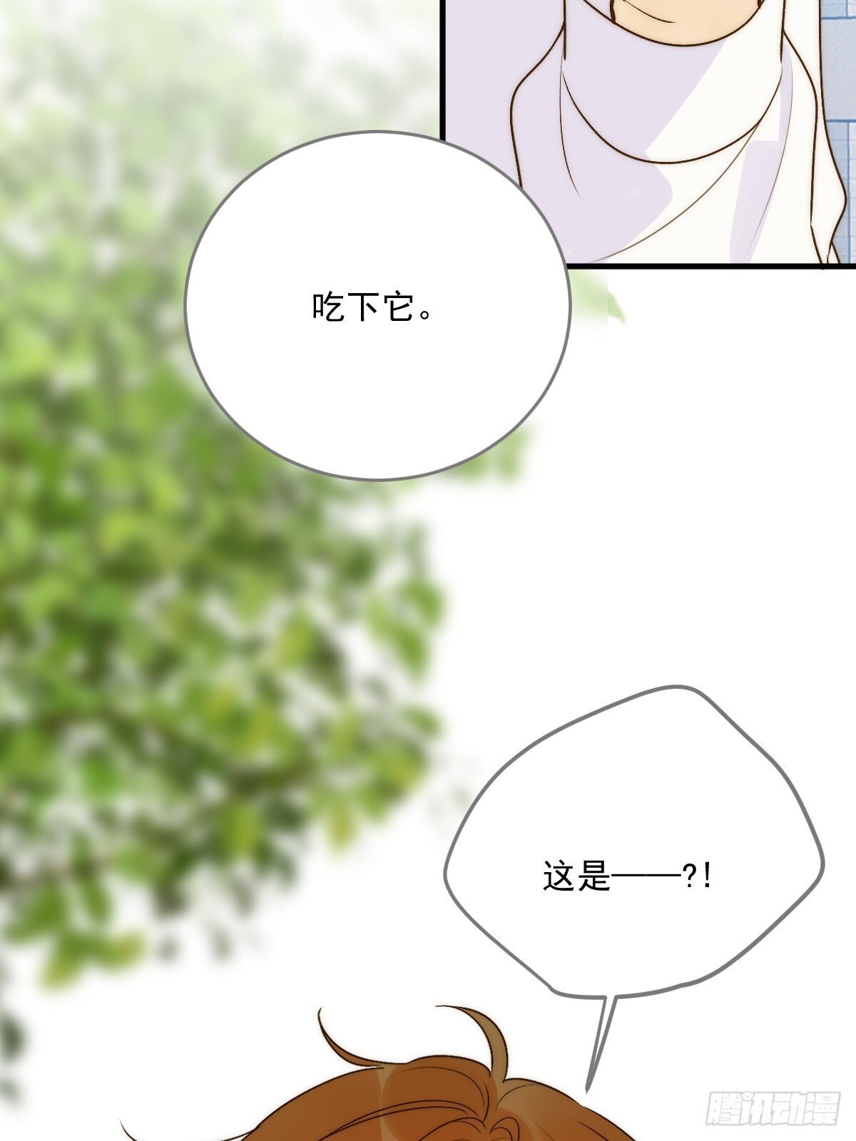 师父的二选一42