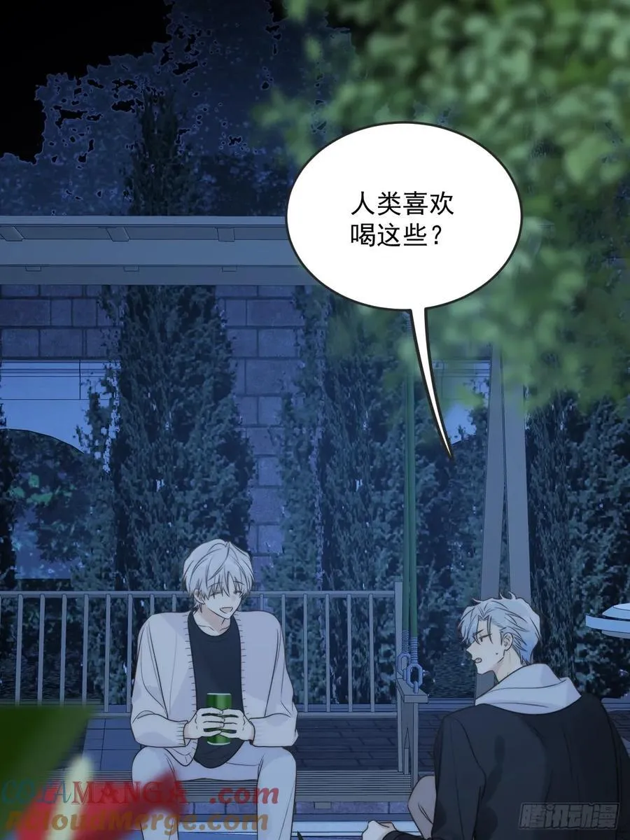 夜间啤酒24