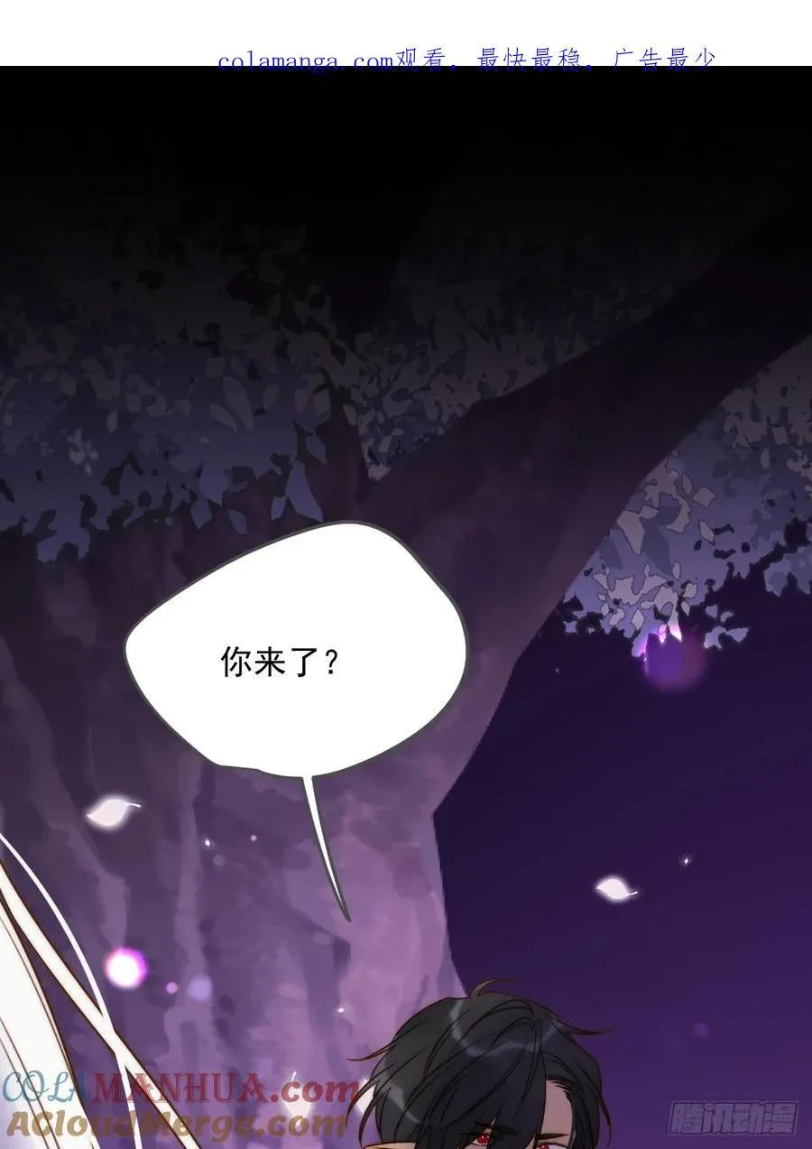 忘忧的代价0