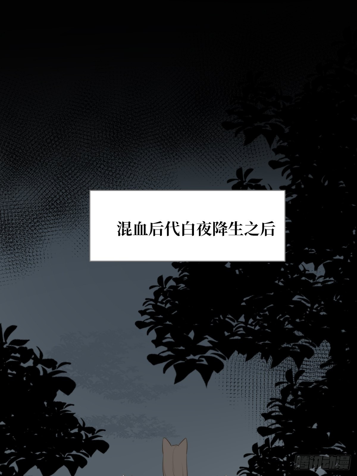 白夜坎坷的过去18