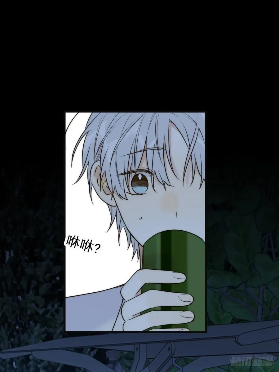 夜间啤酒20