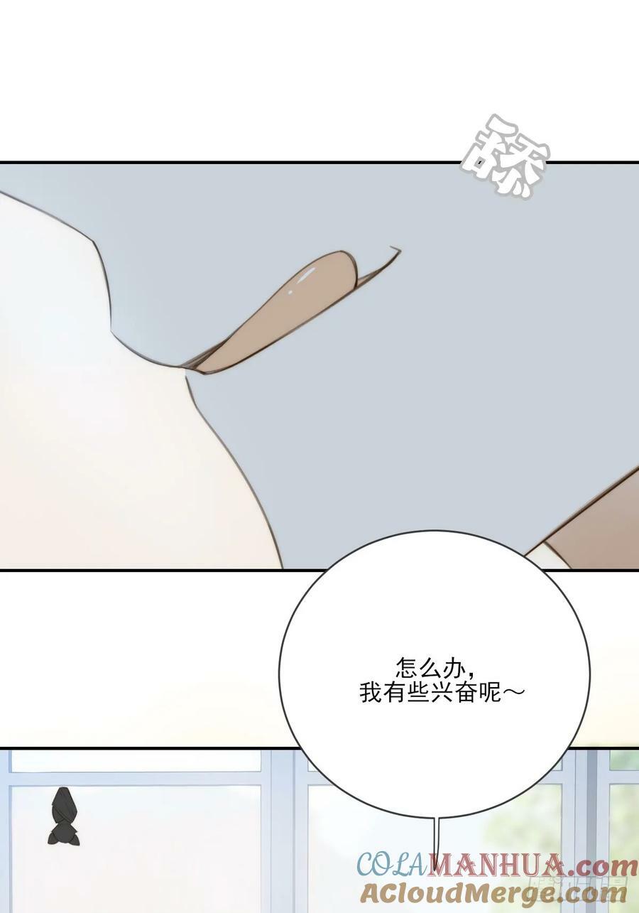 夜行性动物？45