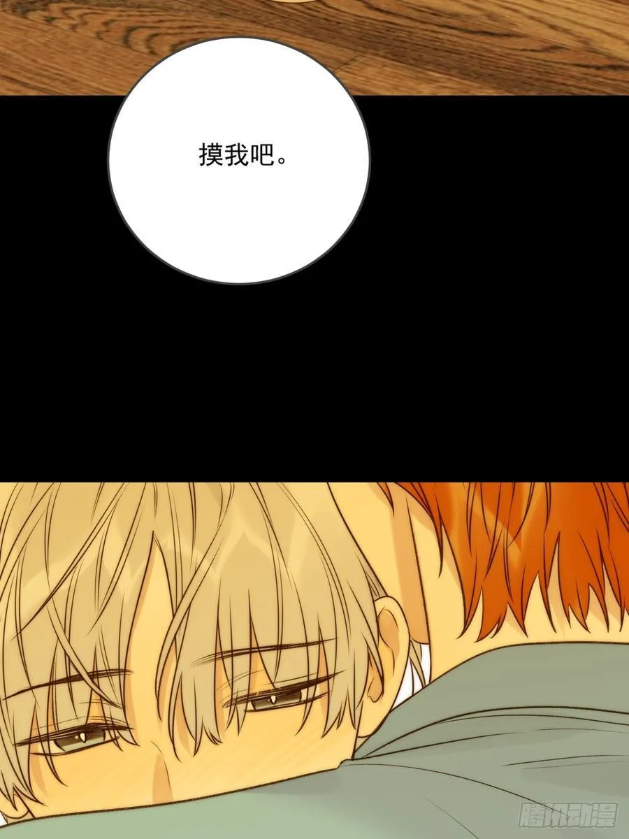 白夜的尾巴1