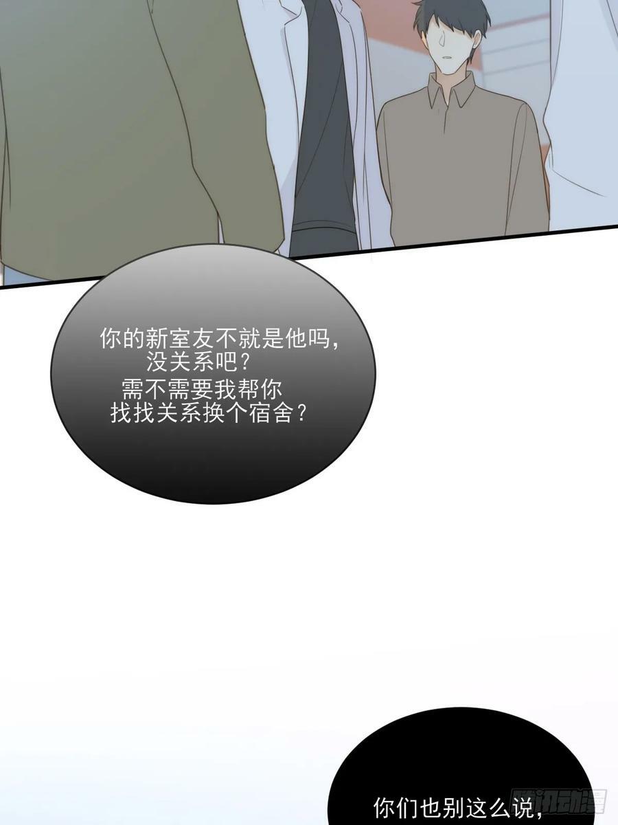 夜行性动物？13
