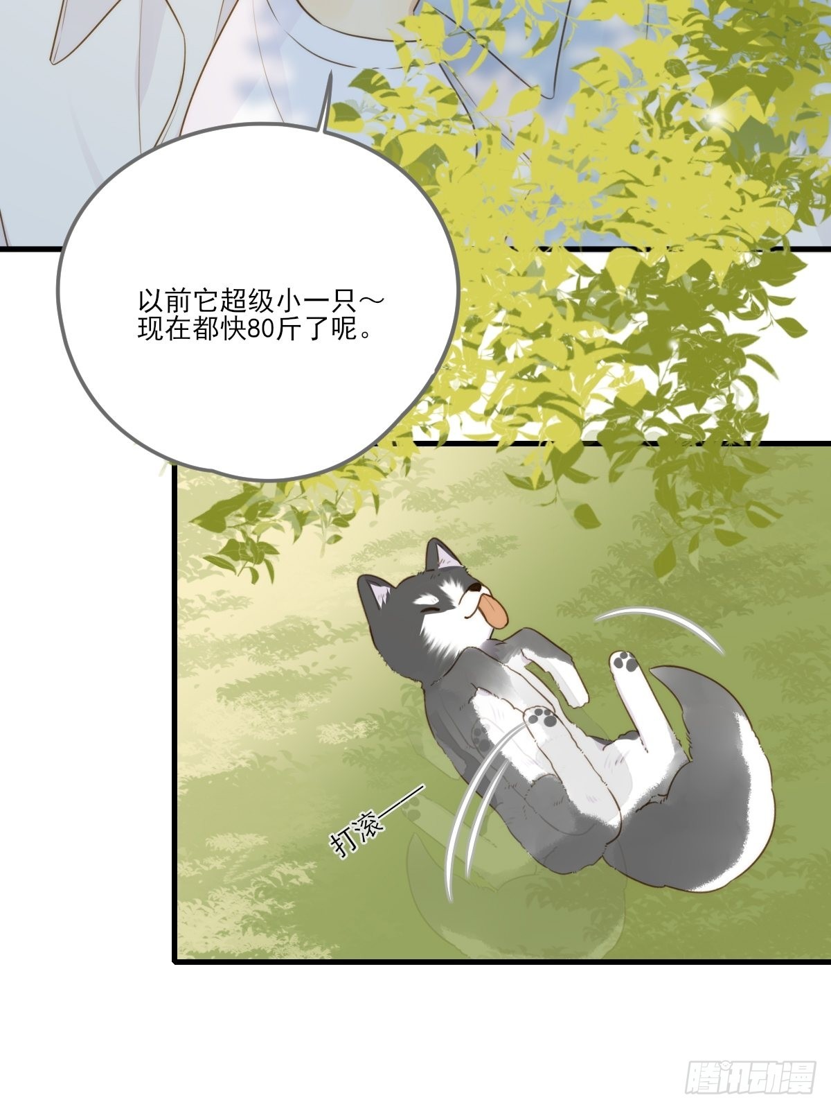 被治愈的心42