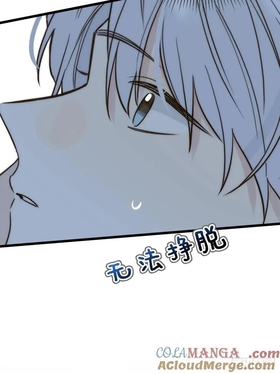 夜间啤酒48