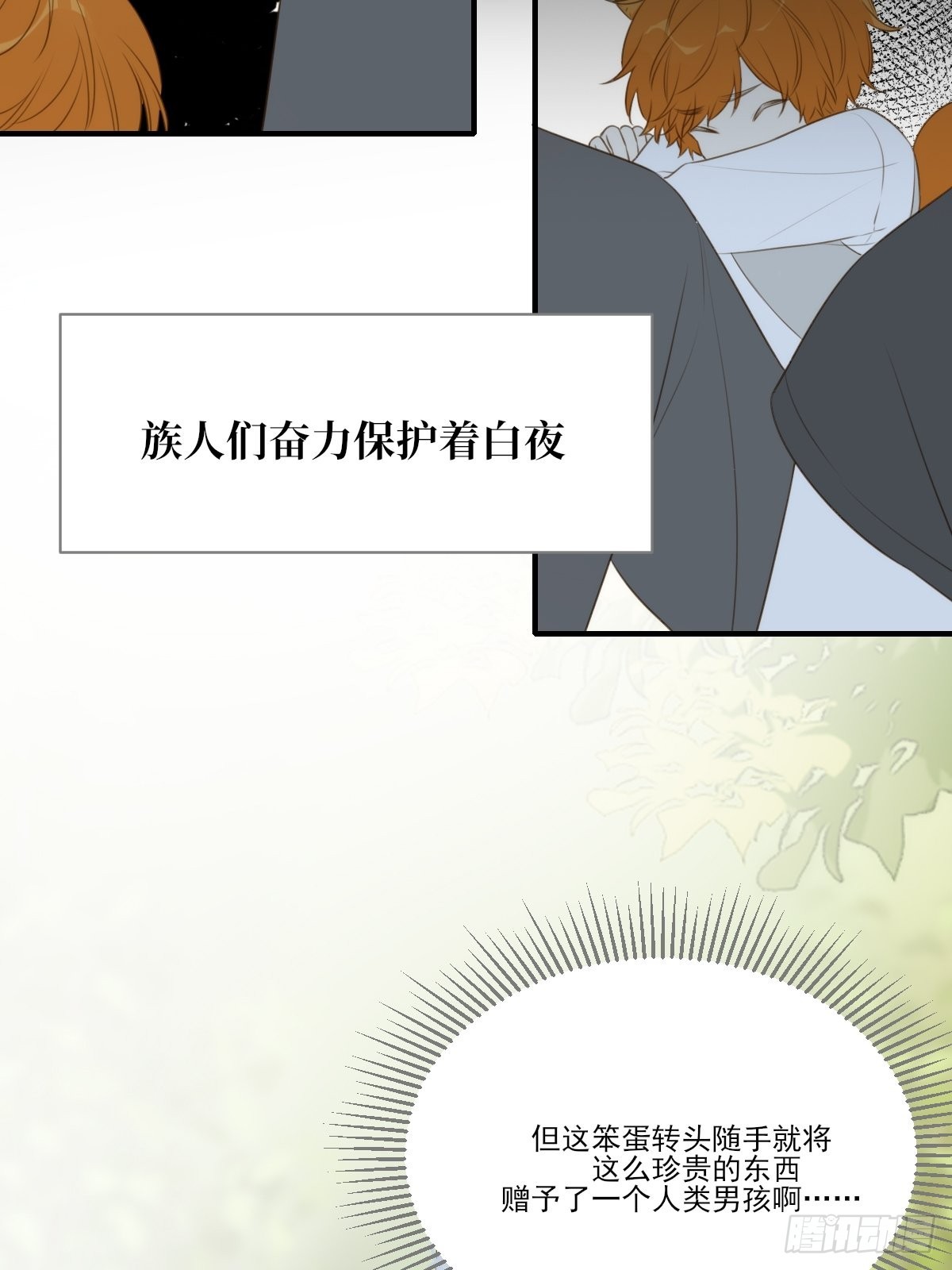 白夜坎坷的过去21