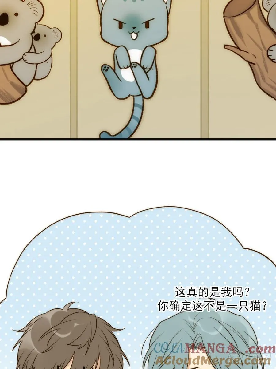 明信片18