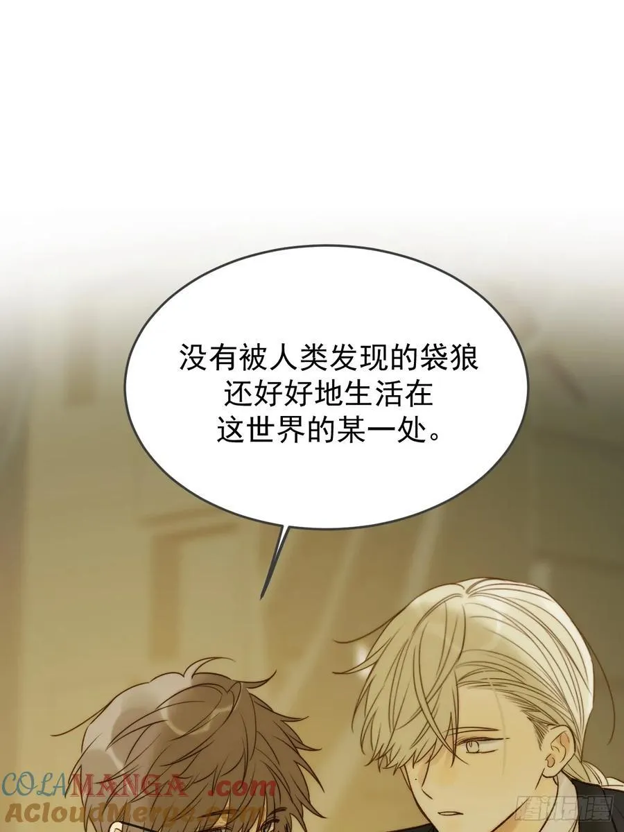 孤独的20