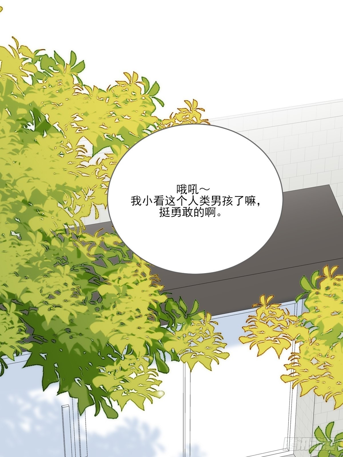 不忍心你受伤63