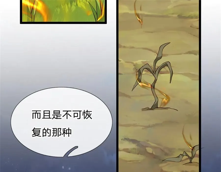 第157话 修为最高境界31