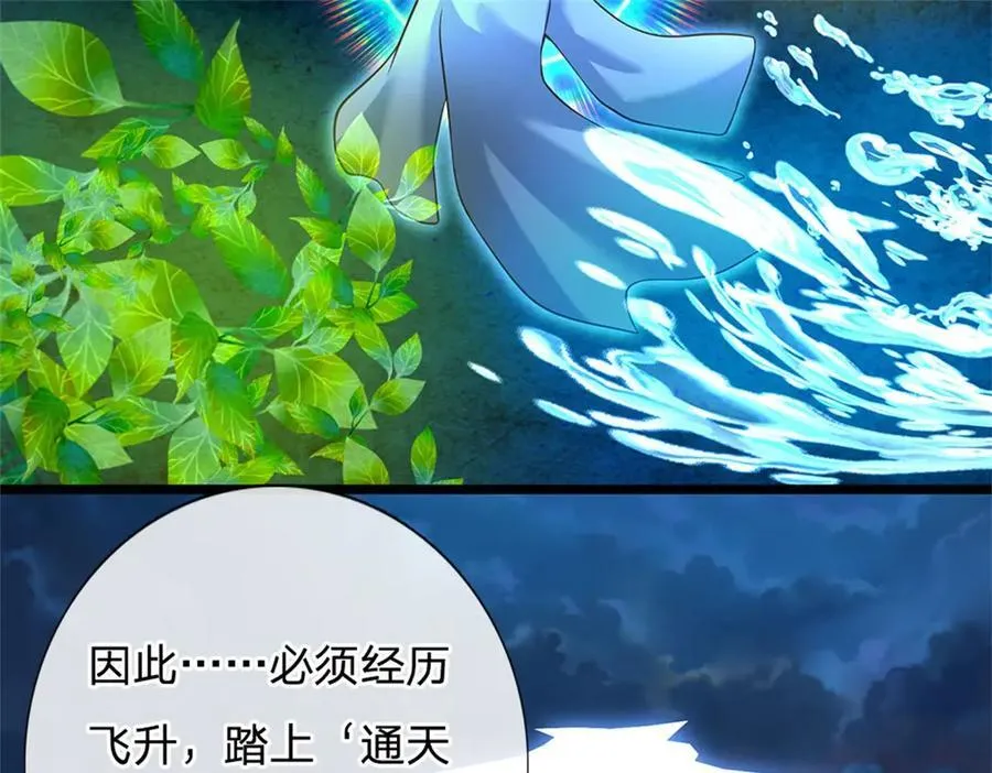第157话 修为最高境界22