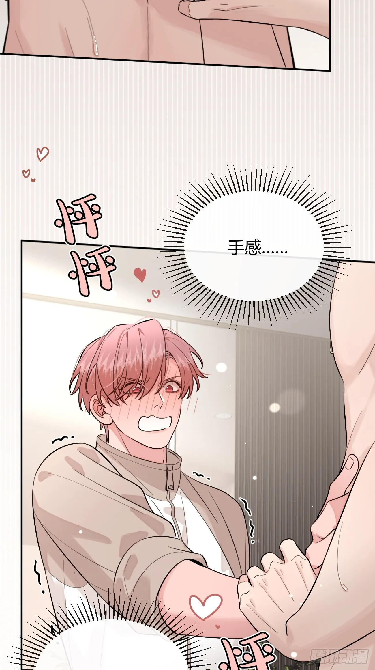 50. 狗狗的谢礼31