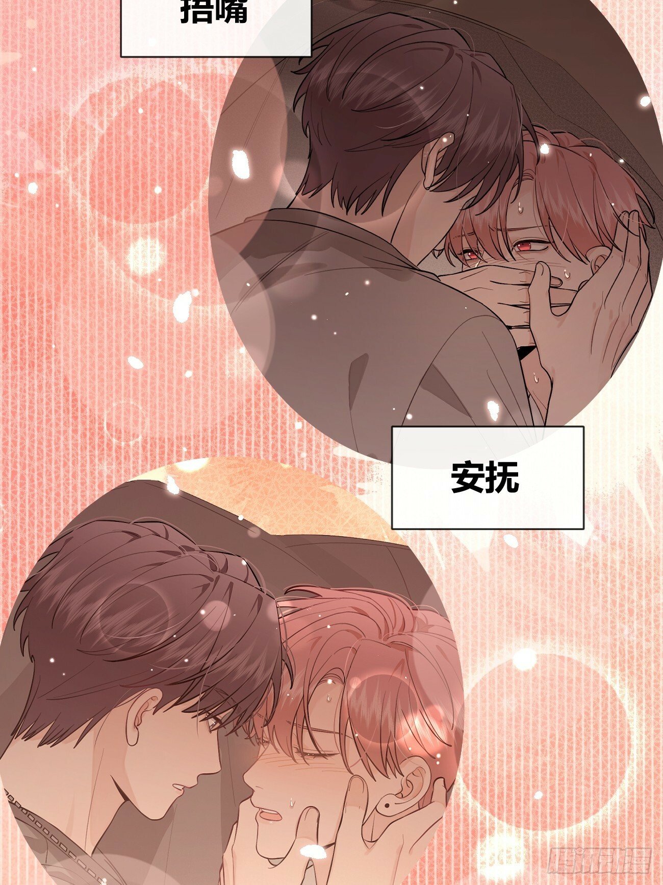 44.怦然心动25