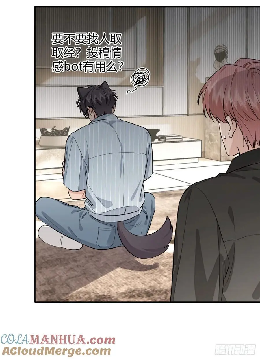 60.天才训犬师36