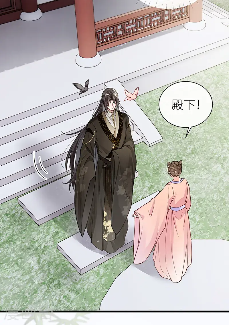 第117话 鸟儿冲动犯了错26