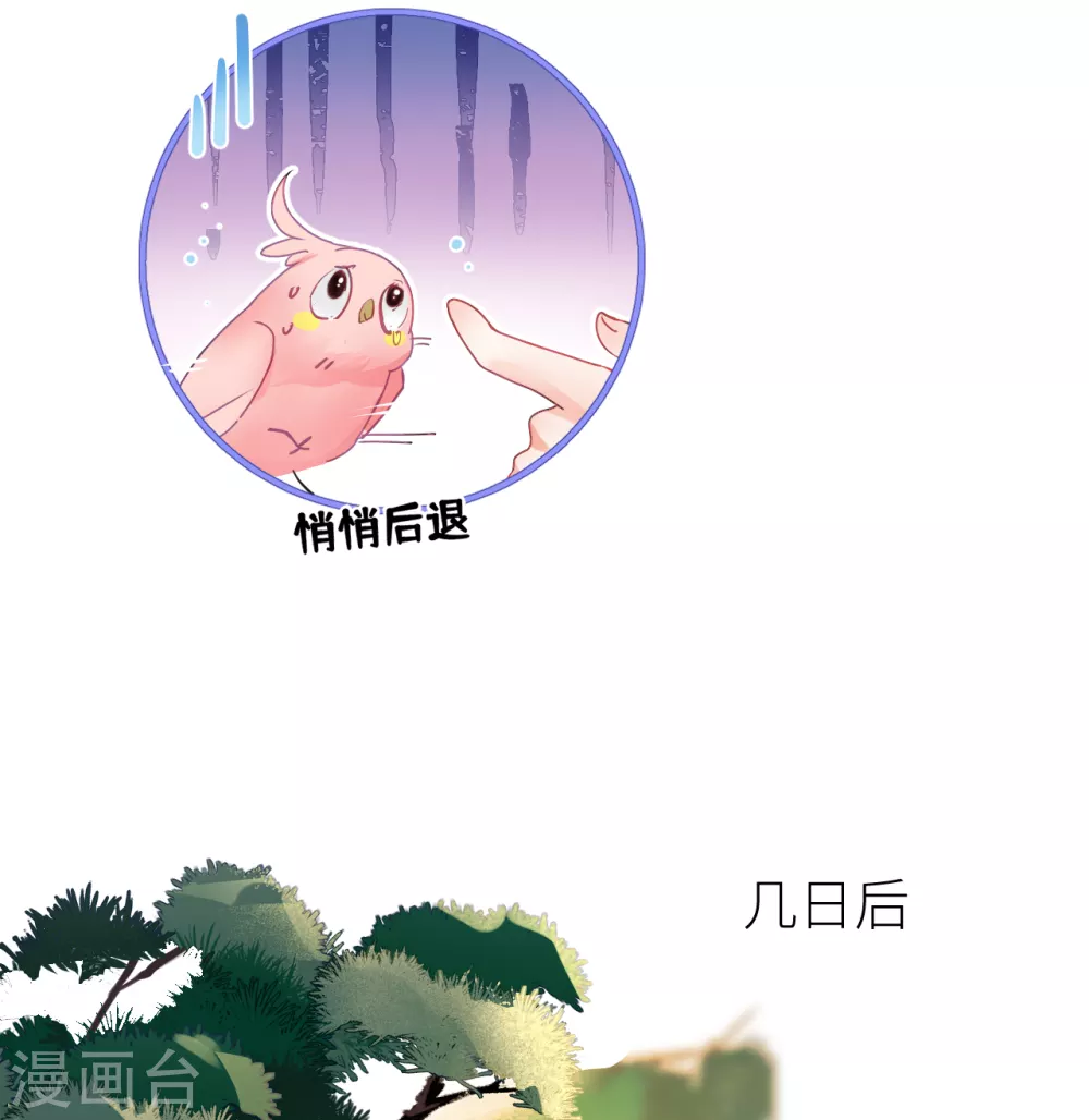 第17话 本王好糊弄？19