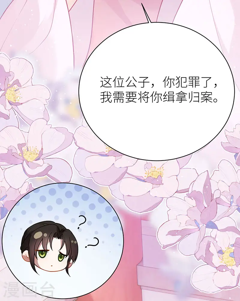 第52话 土味情话上线7