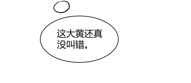 16 狗牌19