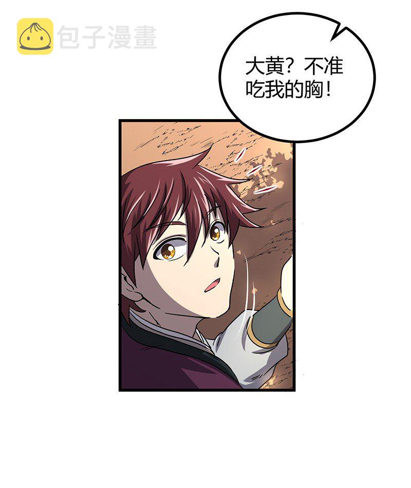 16 狗牌60