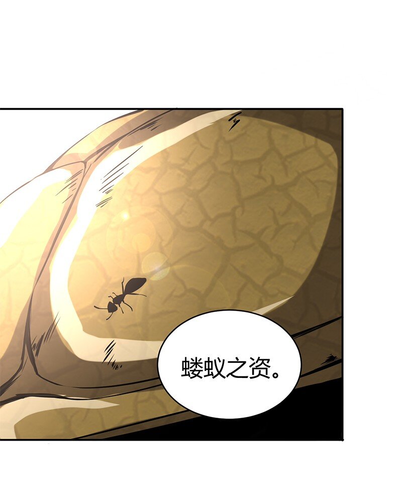 12 天赋异禀28