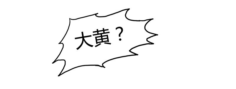 6 抱歉，我不叫大黄35