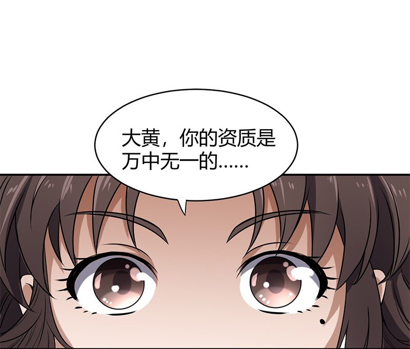 12 天赋异禀23