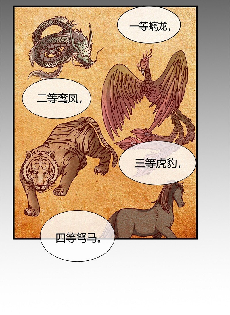 12 天赋异禀5