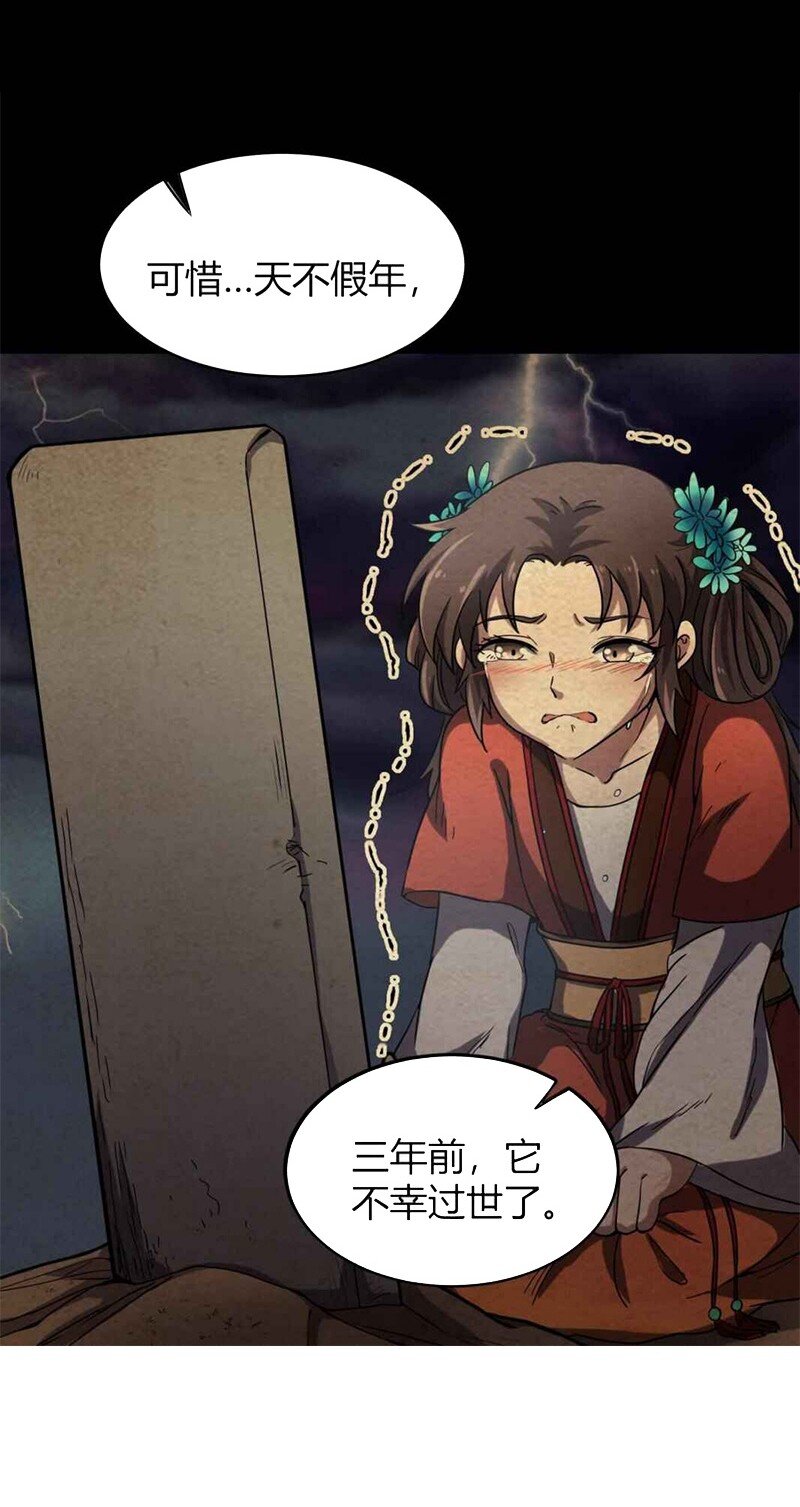 17 约定5