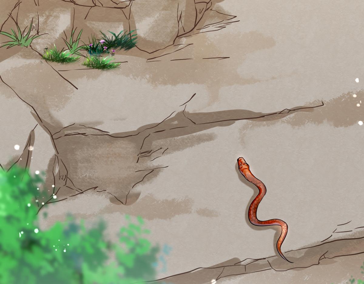第1话  祖师爷出关184