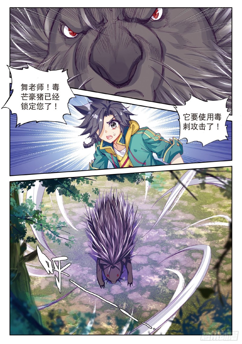 84 毒芒豪猪12