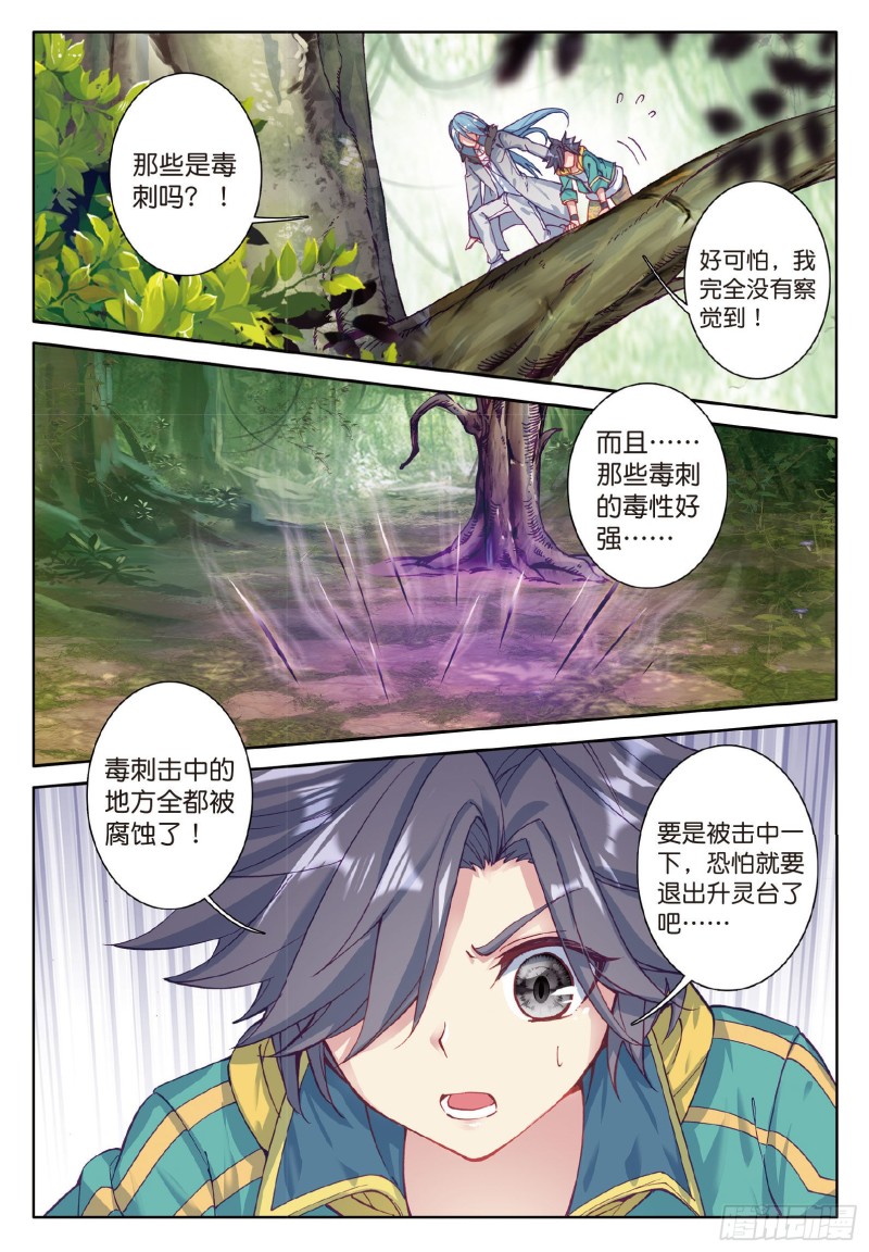 84 毒芒豪猪8