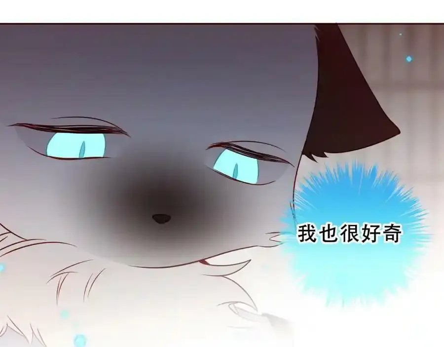 第39话 慕寒39