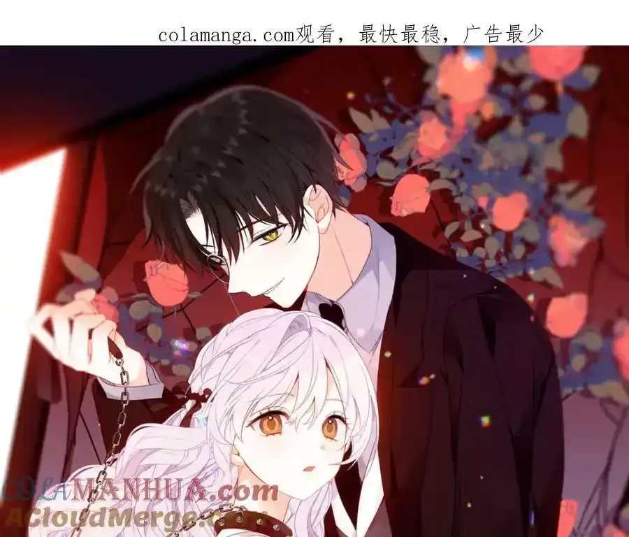 第21话 洛洛0