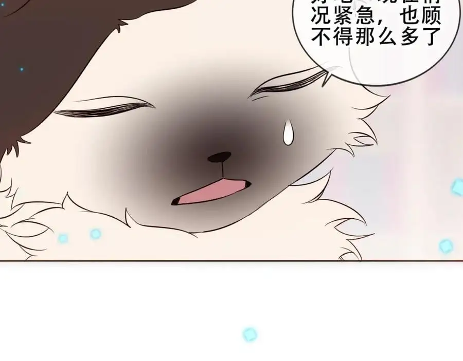 第10话 小狗主人49
