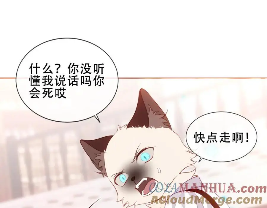 第11话 在意6