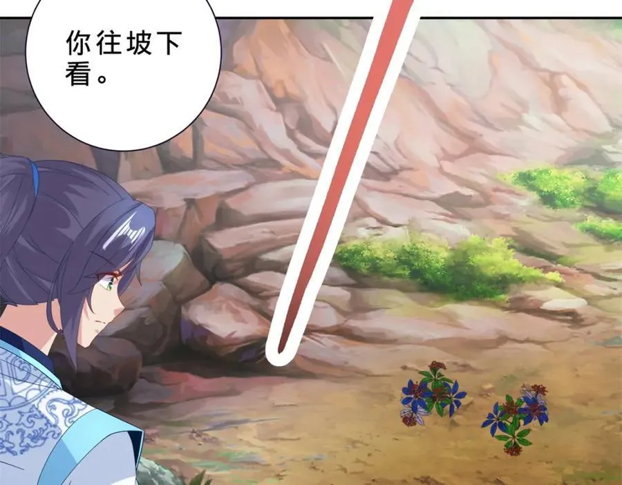 第373话 武王参只有两株46