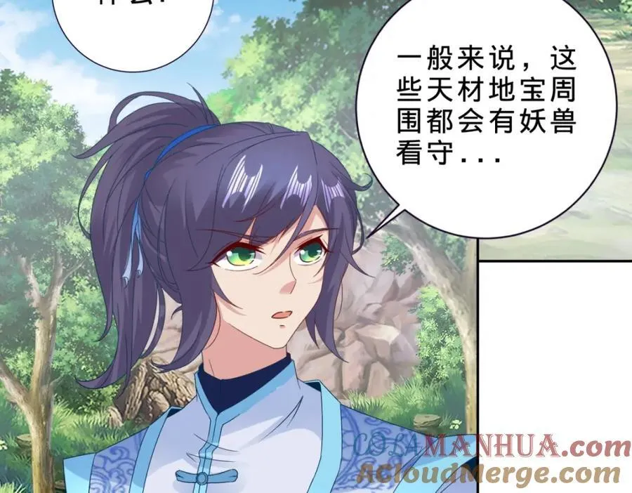 第373话 武王参只有两株54