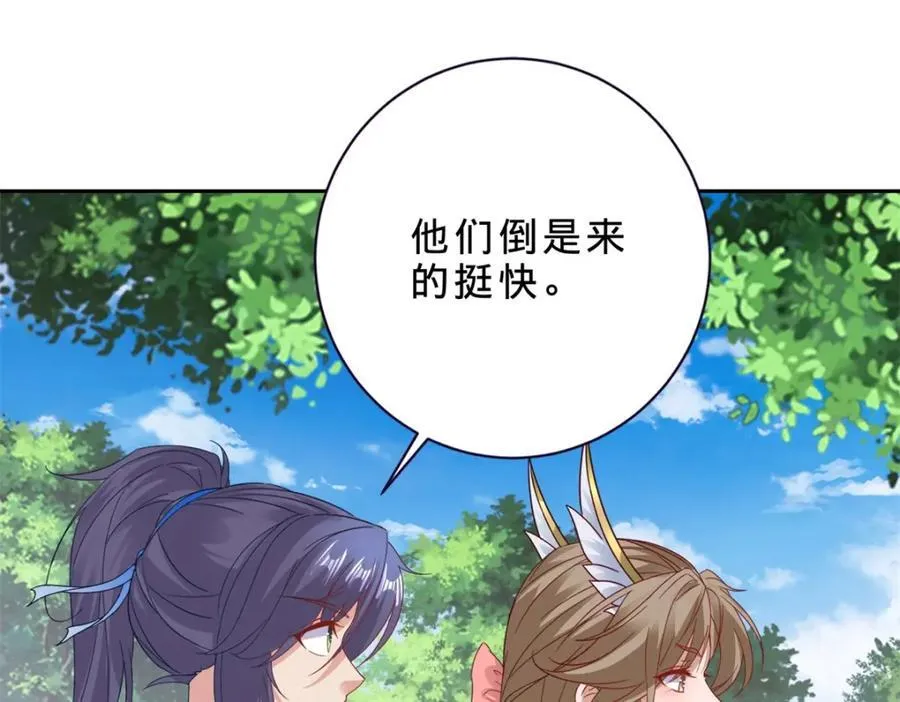 第373话 武王参只有两株40