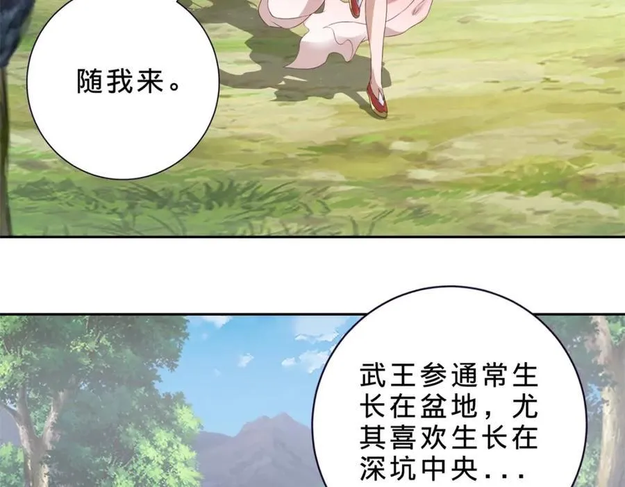 第373话 武王参只有两株44