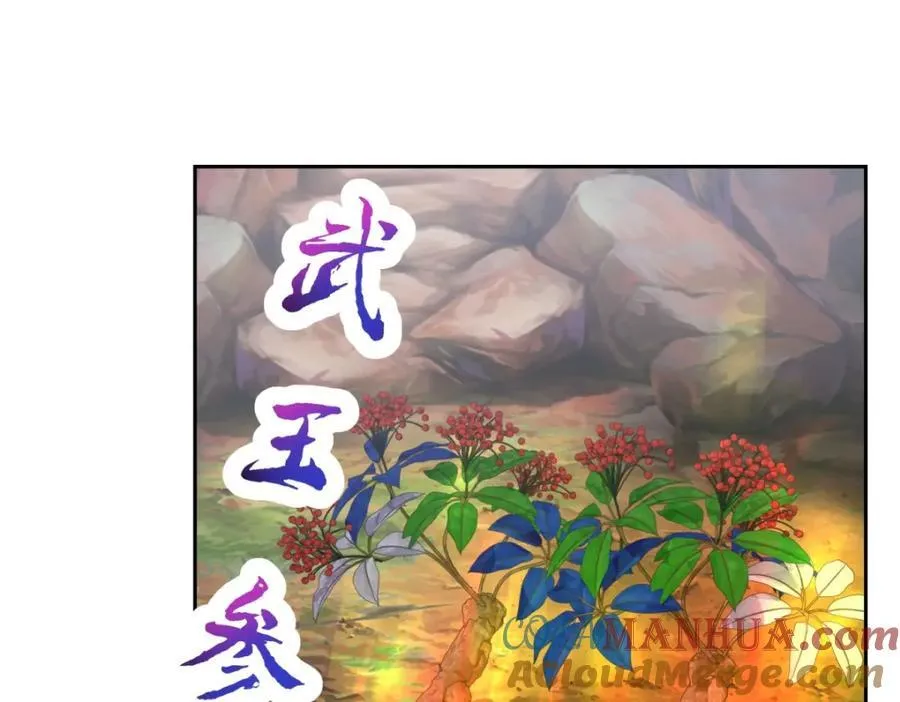 第373话 武王参只有两株48