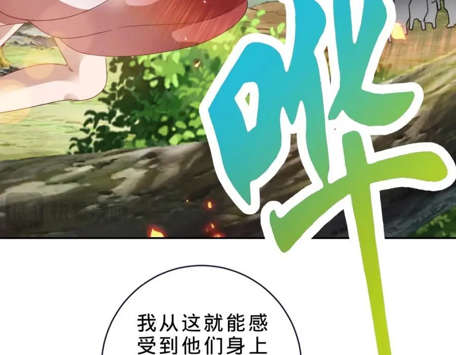 第373话 武王参只有两株26